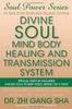 Divine Soul Mind Body Healing and Transmission System Special Edition