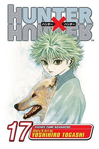 Hunter x Hunter, Vol. 17