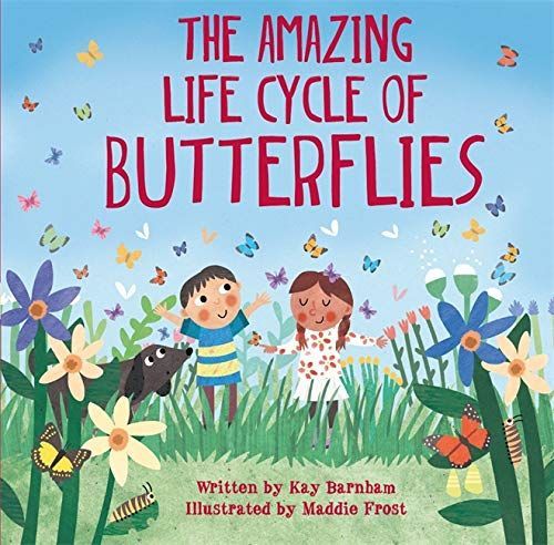 The Amazing Life Cycle of Butterflies