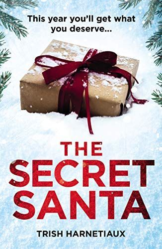 Secret Santa (paperback Original)