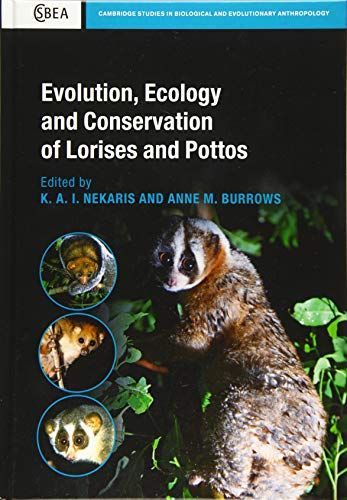 Evolution, Ecology and Conservation of Lorises and Pottos'