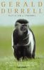 Catch Me a Colobus