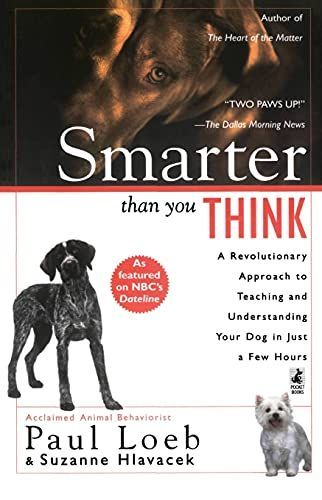 Smarter Than You Think