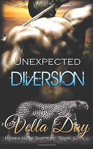 An Unexpected Diversion-Paperback