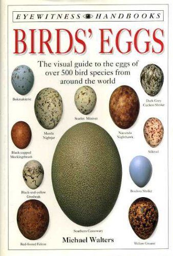 Birds' Eggs