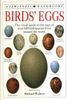 Birds' Eggs