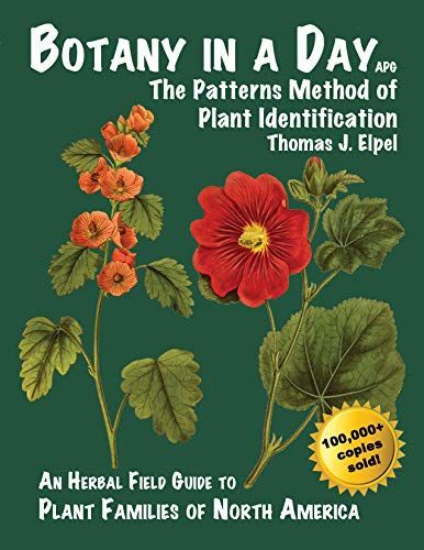 Botany in a Day