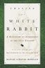 Chasing the White Rabbit