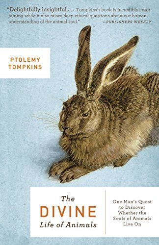 The Divine Life of Animals