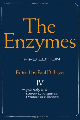 The Enzymes