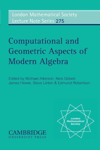 Computational and Geometric Aspects of Modern Algebra