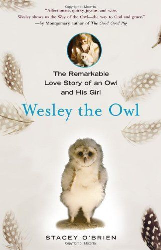 Wesley the Owl