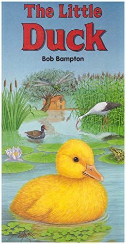 The Little Duck