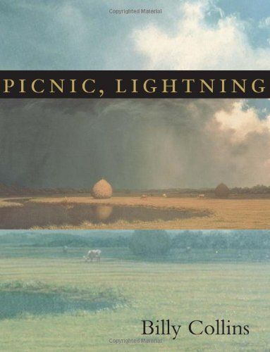 The cover of the book 'Picnic, Lightning'