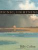 Picnic, Lightning