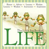The Little Big Book of Life