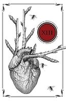 Thirteen: Stories of Transformation