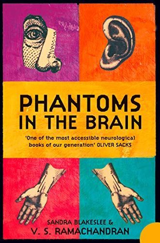 Phantoms in the Brain