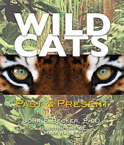Wild Cats