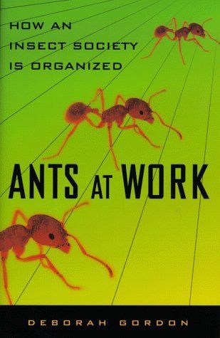 Ants at Work