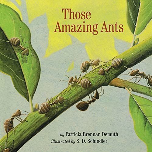 Those Amazing Ants