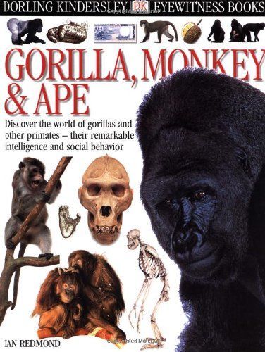 Gorilla, Monkey & Ape