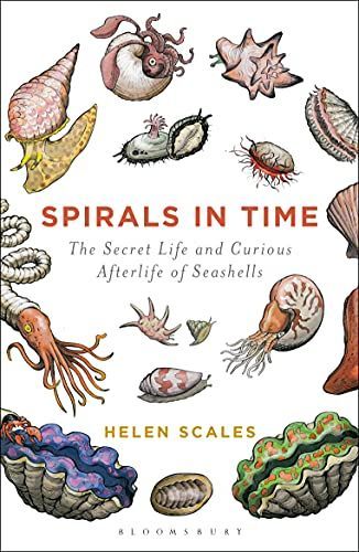 Spirals in Time