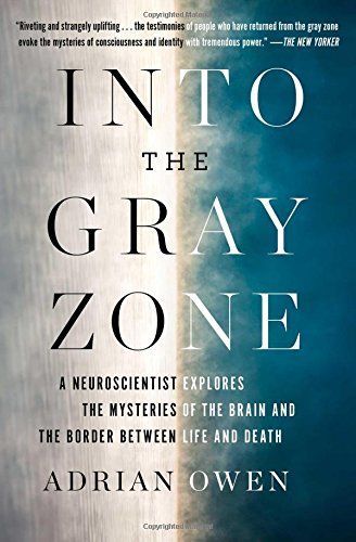 Into the Gray Zone