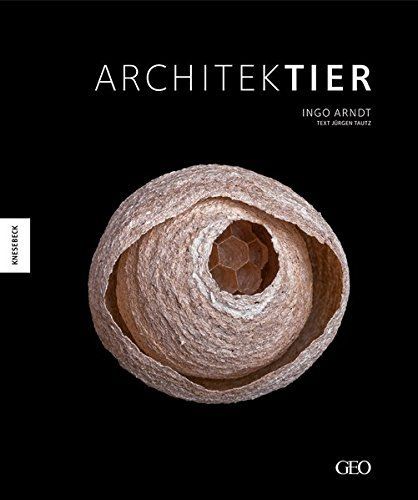 Architektier