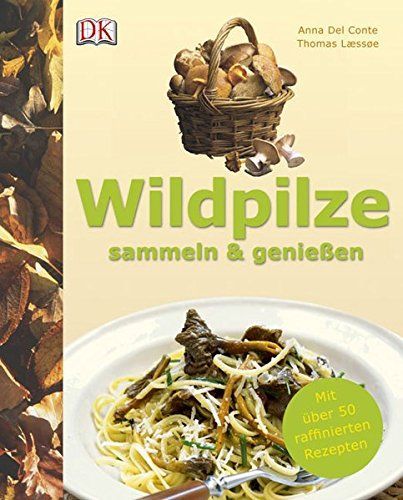 Wildpilze