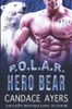 Hero Bear