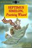 Septimus Similon, Practising Wizard