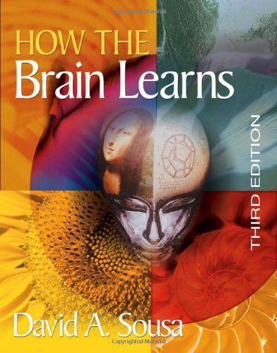 How the Brain Learns