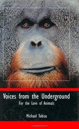 Voices from the Underground