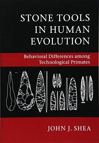 Stone Tools in Human Evolution