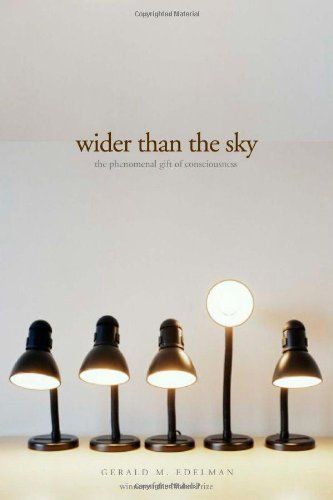 Wider Than the Sky