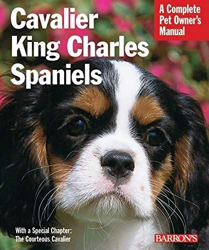 Cavalier King Charles Spaniels