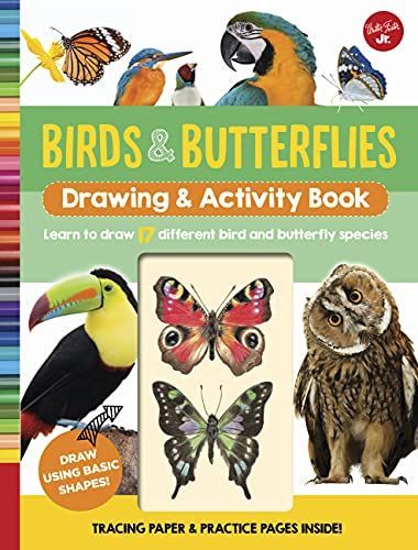 Birds & Butterflies Drawing & Activity Book