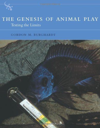 The Genesis of Animal Play