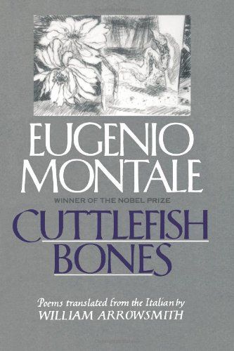Cuttlefish Bones