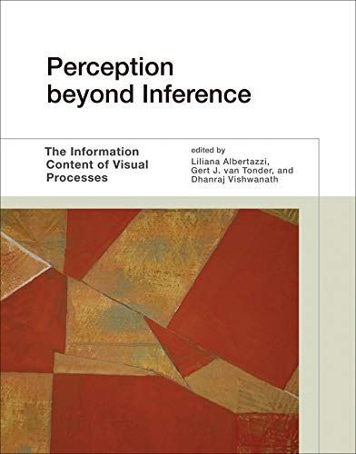 Perception Beyond Inference