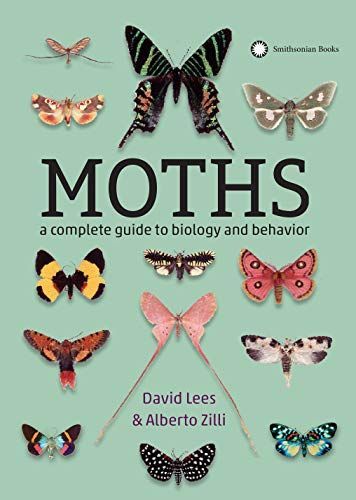 Moths