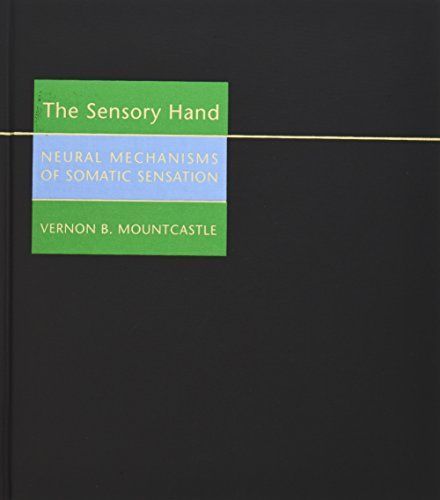 The Sensory Hand