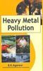 Heavy Metal Pollution