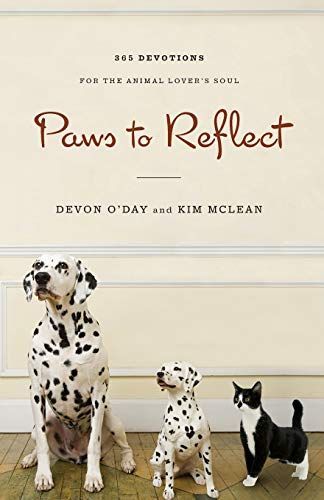 Paws to Reflect