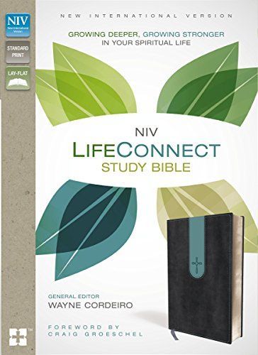 NIV Life Connect Study Bible, Indexed