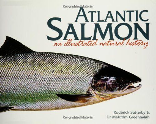 Atlantic Salmon