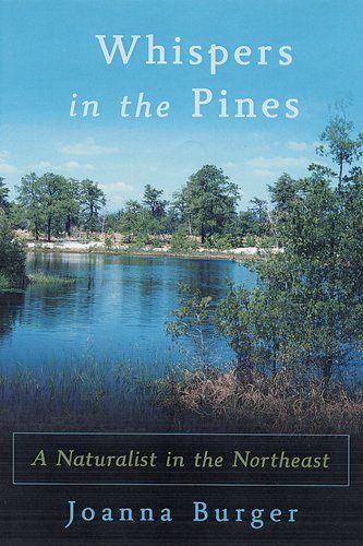 Whispers in the Pines