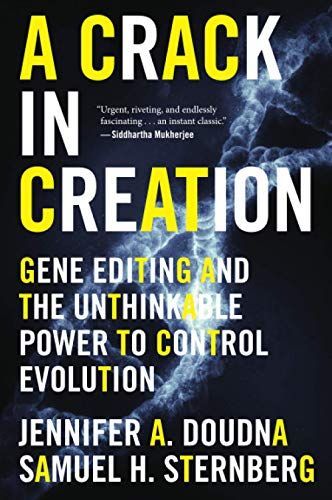 A Crack in Creation
