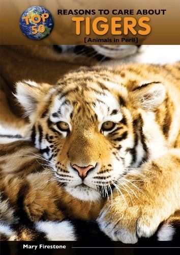 Top 50 Reasons to Care About Tigers